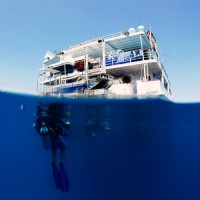 Reef Encounter liveaboard trip