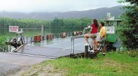 Daintree Ferry Crossing