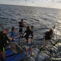 Reef Encounter Top Deck Club