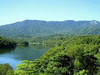 Discovery Tours Half Day 4WD Rainforest and Waterfall Tours cairns