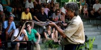 Hartleys Crocodile Adventures - Half Day Package