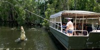 Hartleys Crocodile Adventures - Half Day Package