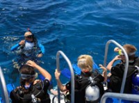 Calypso Dive and Snorkel Port Douglas Outer Reef Tour